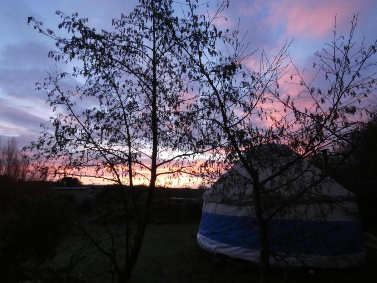 Inch Hideaway Eco Camping Whitegate  Экстерьер фото