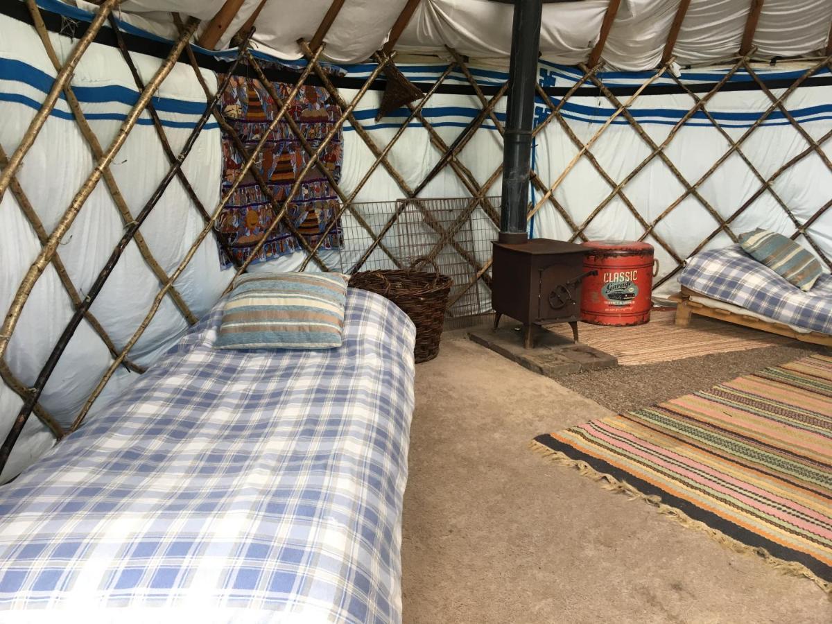 Inch Hideaway Eco Camping Whitegate  Экстерьер фото