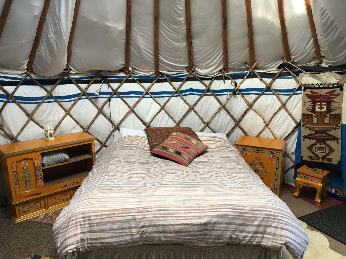 Inch Hideaway Eco Camping Whitegate  Экстерьер фото