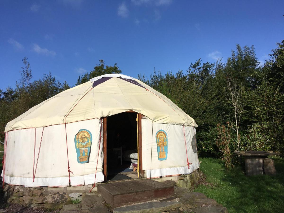 Inch Hideaway Eco Camping Whitegate  Экстерьер фото