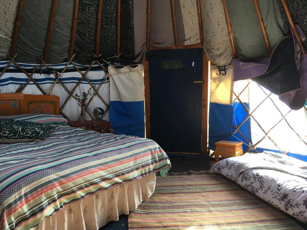 Inch Hideaway Eco Camping Whitegate  Экстерьер фото