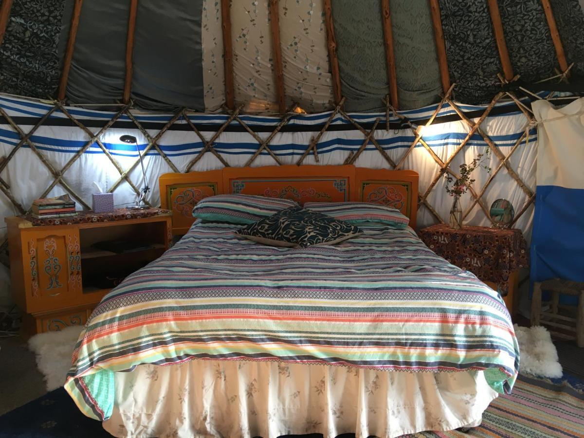 Inch Hideaway Eco Camping Whitegate  Экстерьер фото