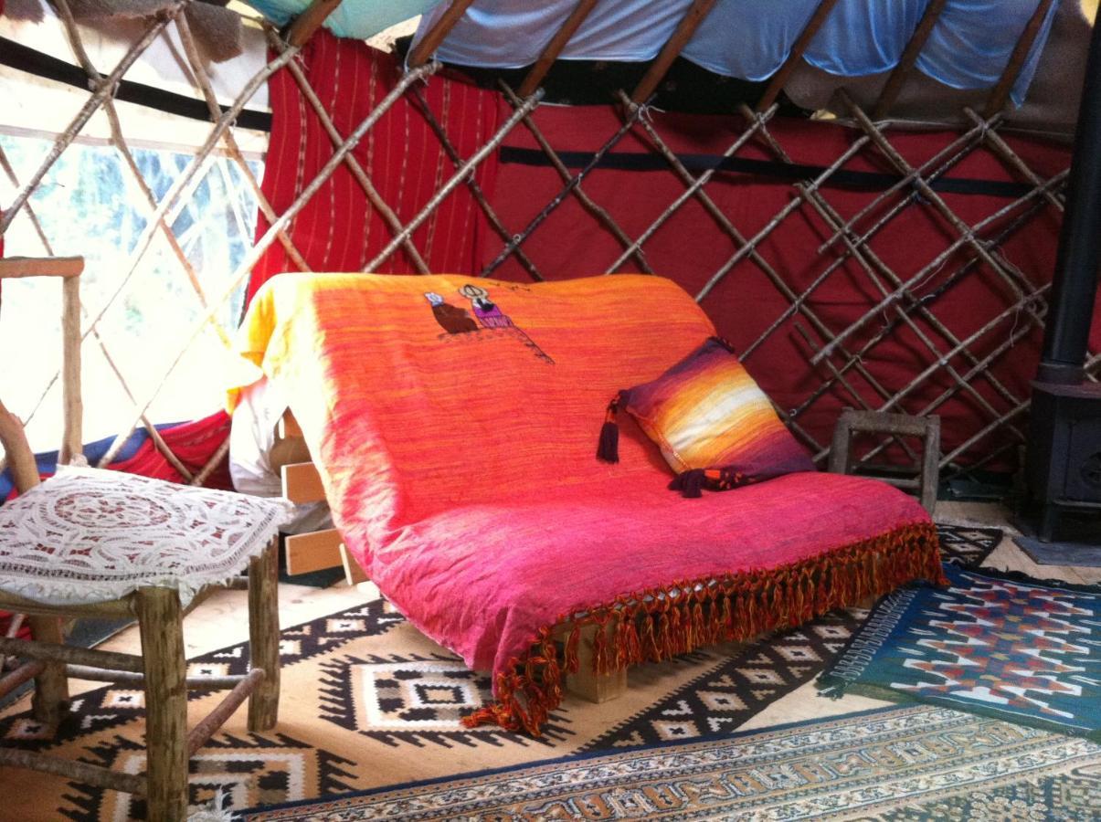 Inch Hideaway Eco Camping Whitegate  Экстерьер фото