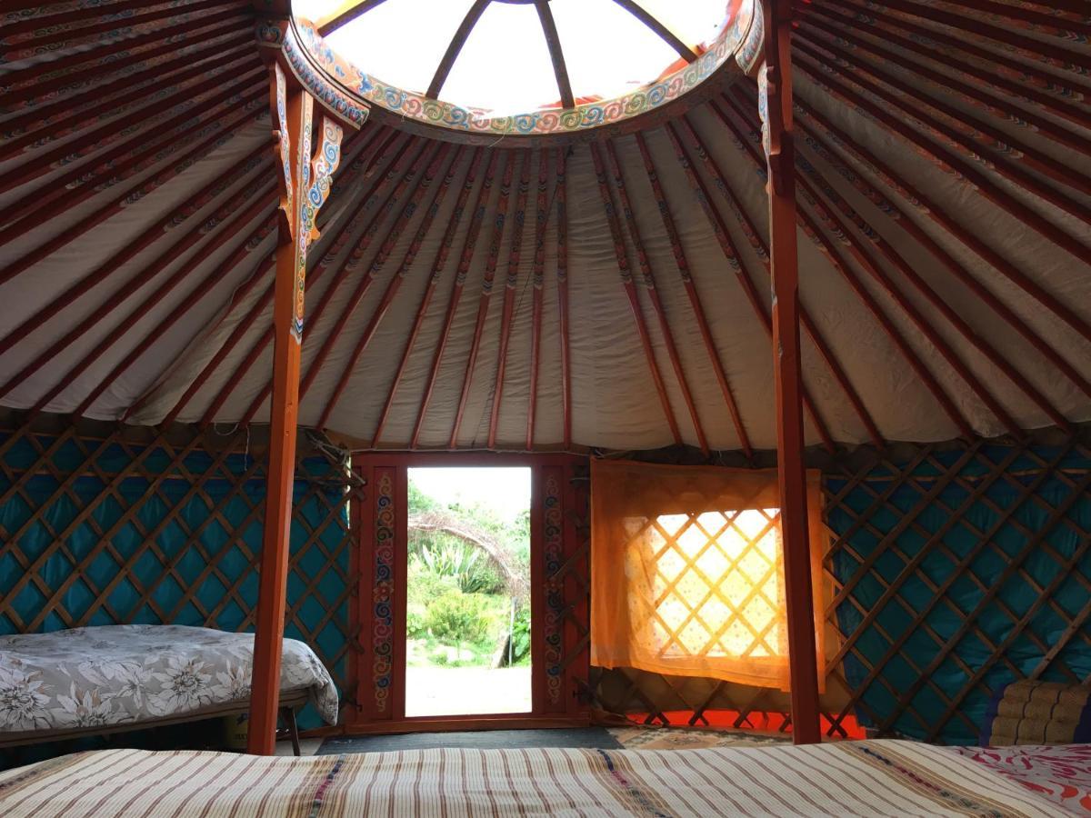 Inch Hideaway Eco Camping Whitegate  Экстерьер фото