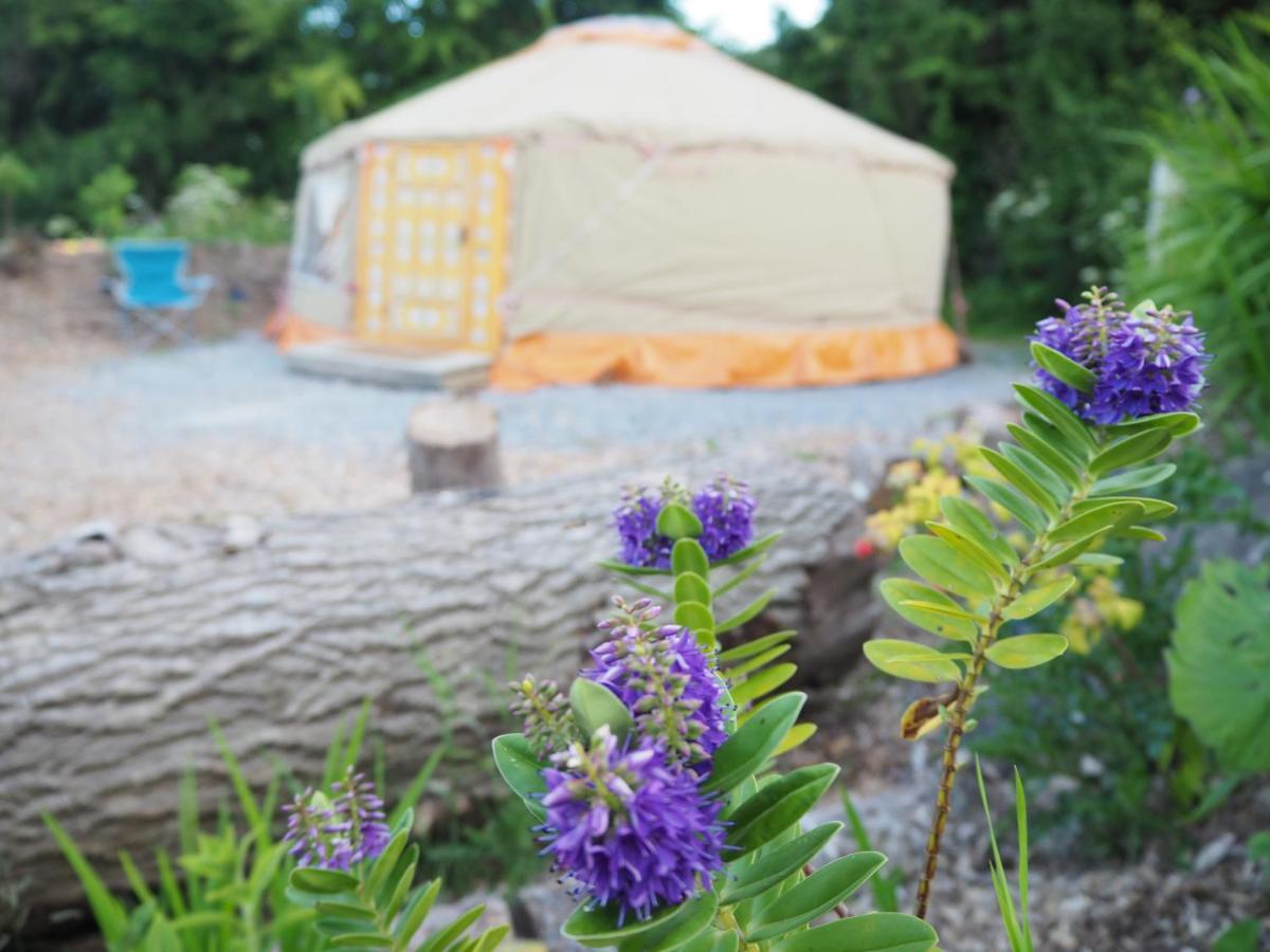 Inch Hideaway Eco Camping Whitegate  Экстерьер фото