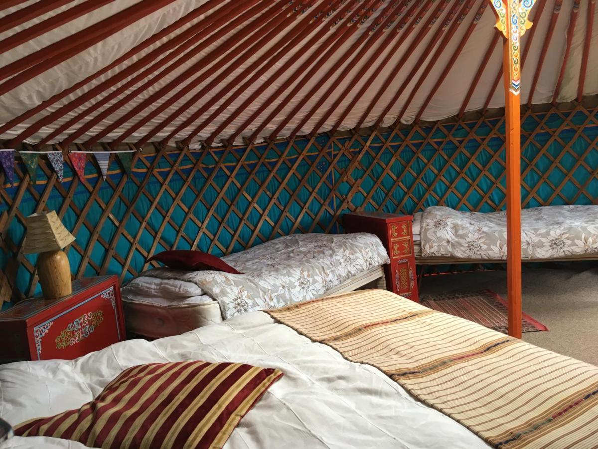 Inch Hideaway Eco Camping Whitegate  Экстерьер фото