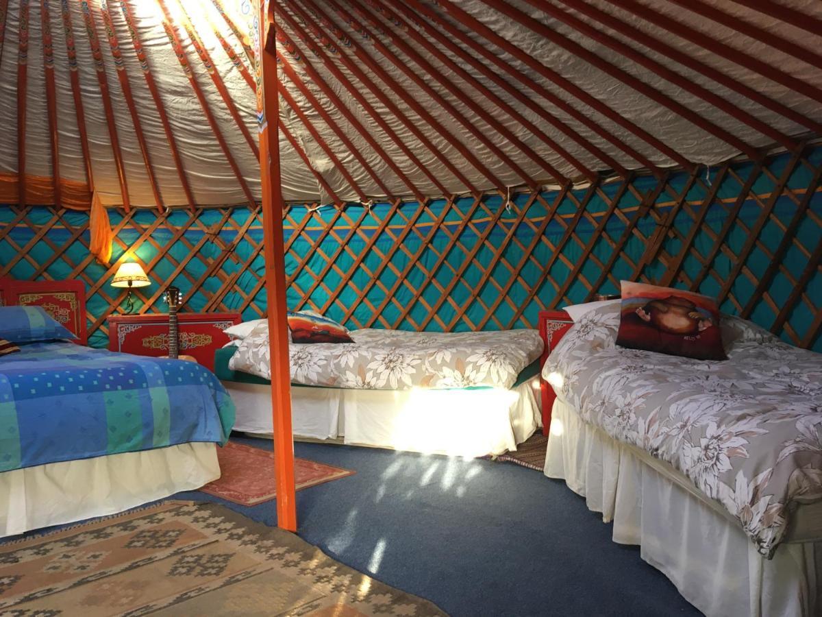 Inch Hideaway Eco Camping Whitegate  Экстерьер фото